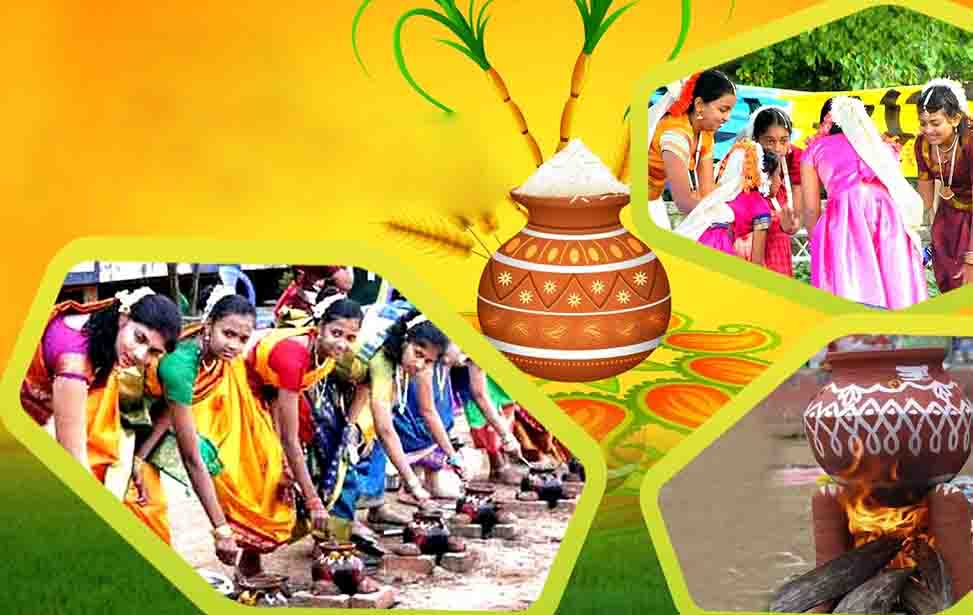 Pongal Festival
