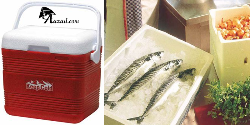 Ice Cubes in Thermocol Box