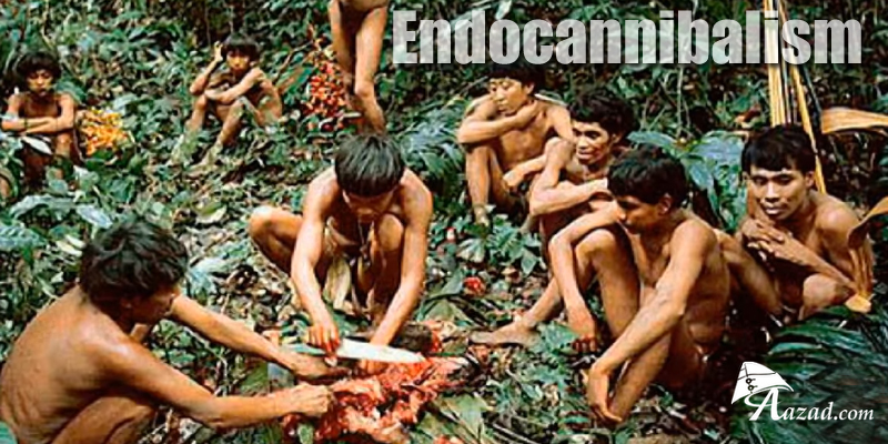 Endocannibalism: A Bizarre Death Ritual
