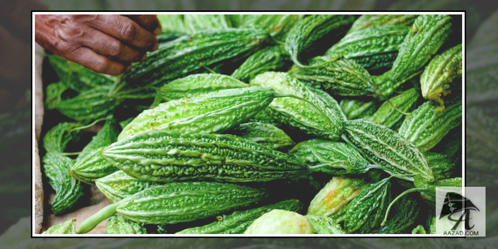 Bitter Gourd