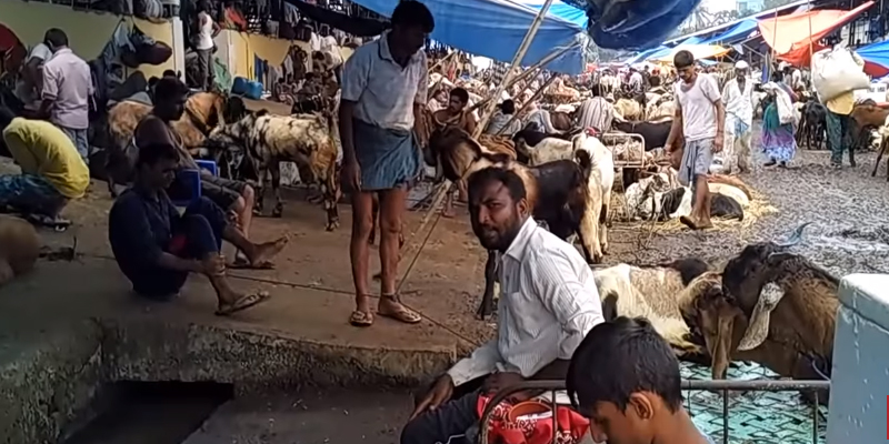 Deonar Bakra Mandi