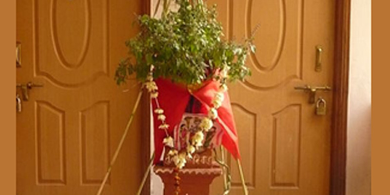 Tulsi Vivah
