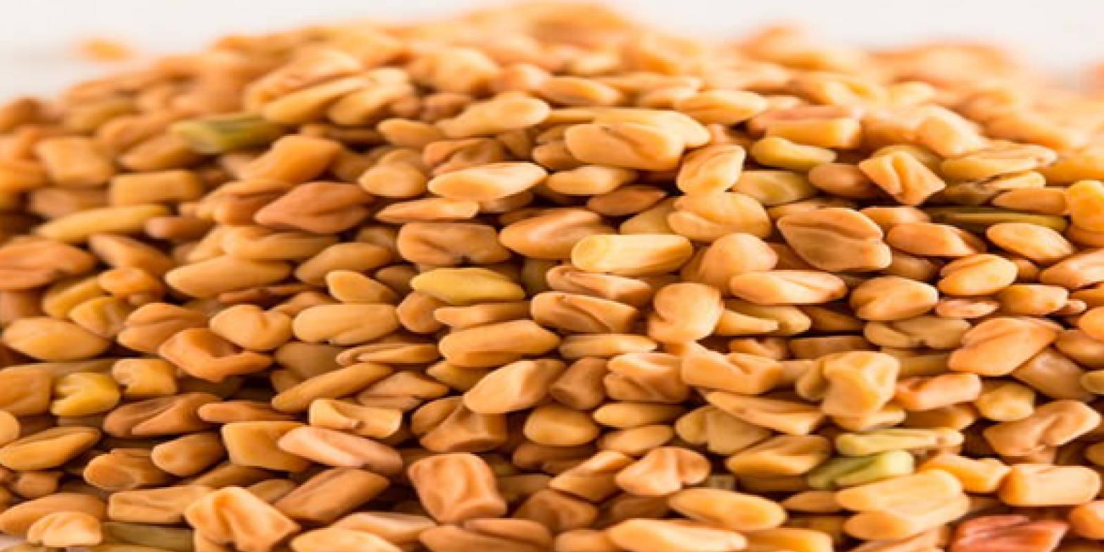 Fenugreek