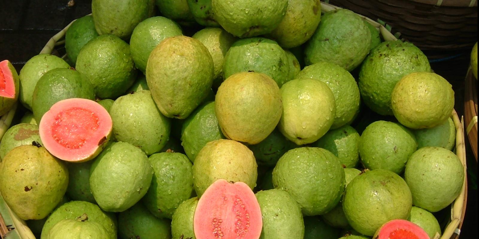 Guava
