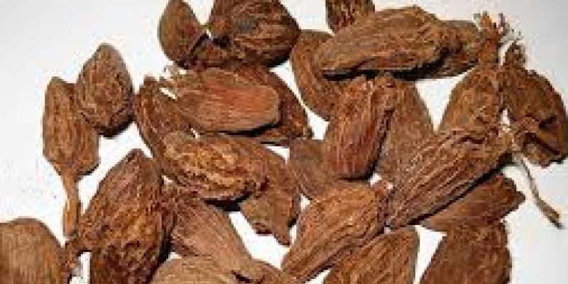 बड़ी इलायची के लाभदायक गुण