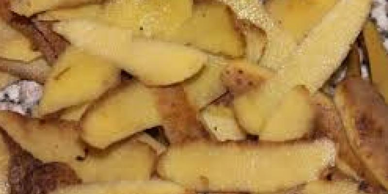 आलू के छिलके के फायदे