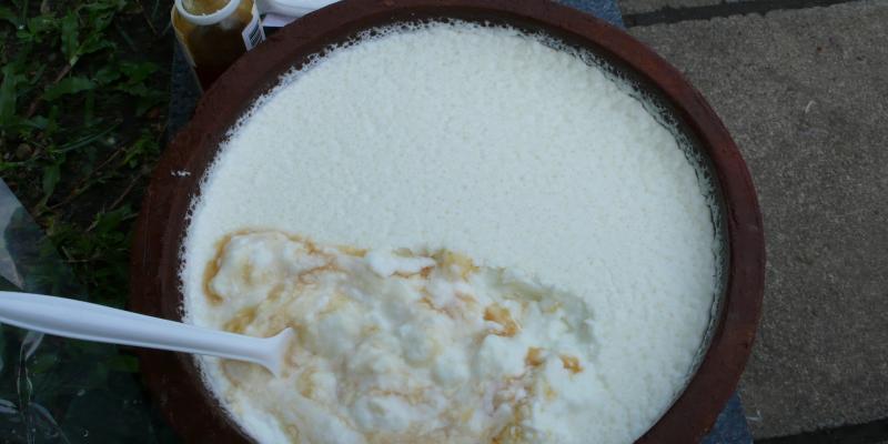 दही खाने के फायदे