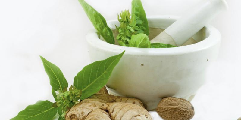 पेट की समस्याओं को दूर करेंगी ये औषधी