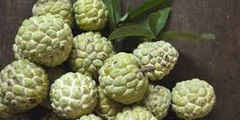 शरीफा सेहत के लिए फायदेमंद