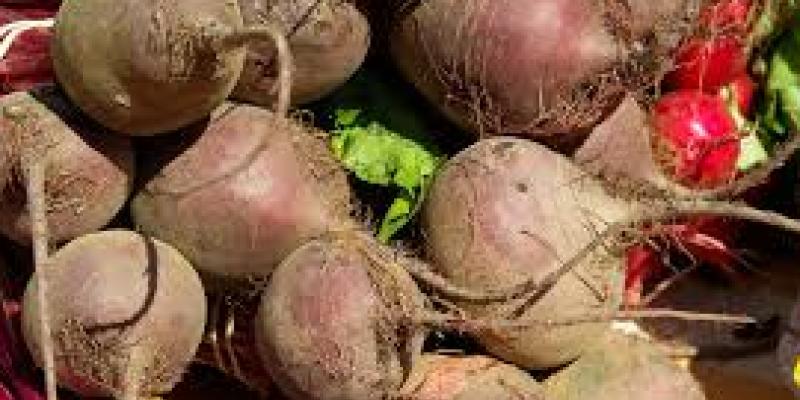 चुकंदर ये फायदे नहीं जानते होंगे आप