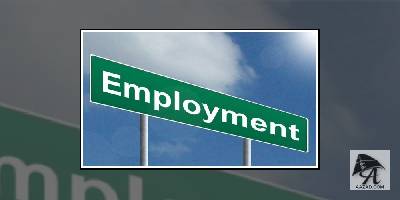 असिस्टेंट प्रोफेसर के पदों पर बम्पर भर्ती, यहां करें आवेदन