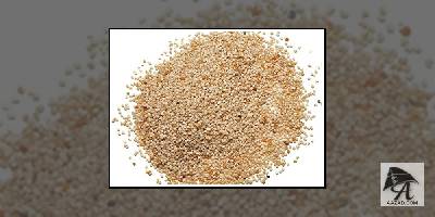 खसखस कई गंभीर रोगों को करे दूर