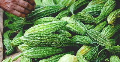 करेले के गुणकारी फायदे